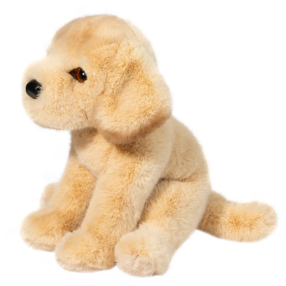 Ace Yellow Lab