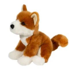 Aki Shiba Inu