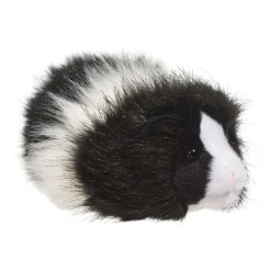Angora Guinea Pig