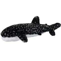 Barnacle Whale Shark