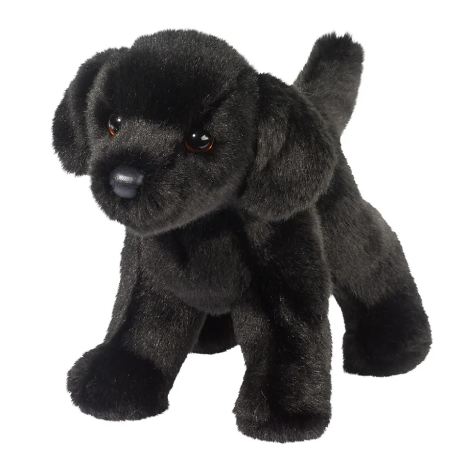 Bear Black Lab