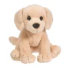 Butter Yellow Lab