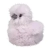 Cara Lilac Silkie Chick