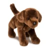 C.C. Bean Chocolate Lab