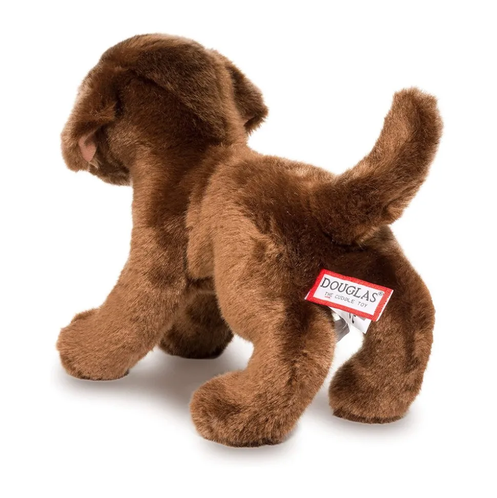 C.C. Bean Chocolate Lab