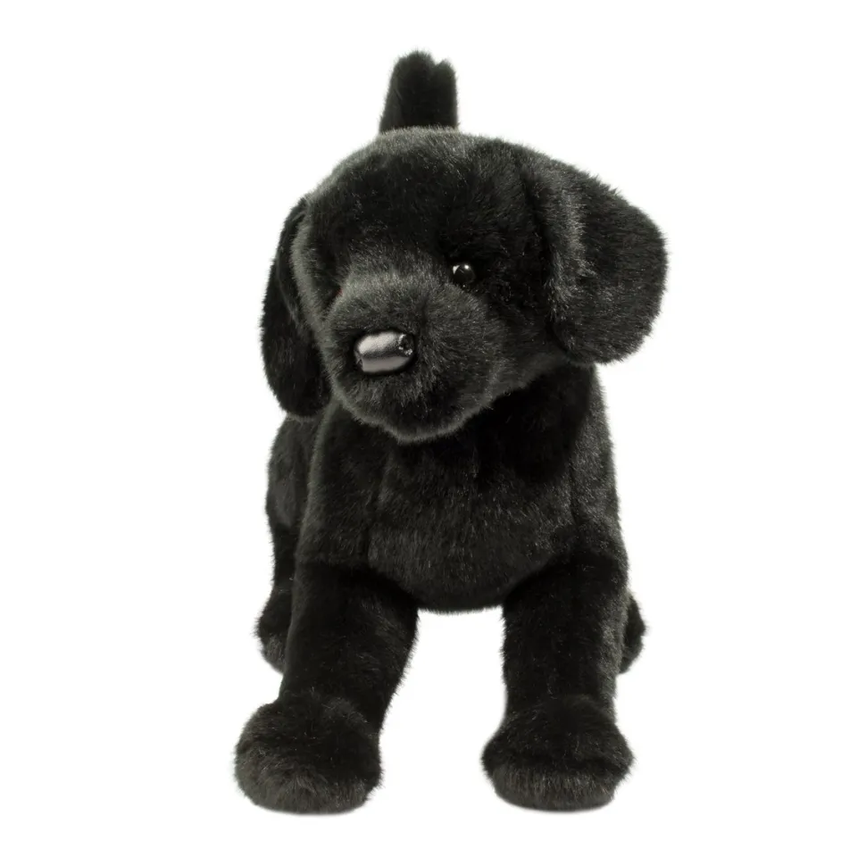 Chester Black Lab