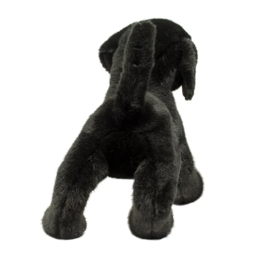 Chester Black Lab