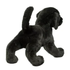 Chester Black Lab