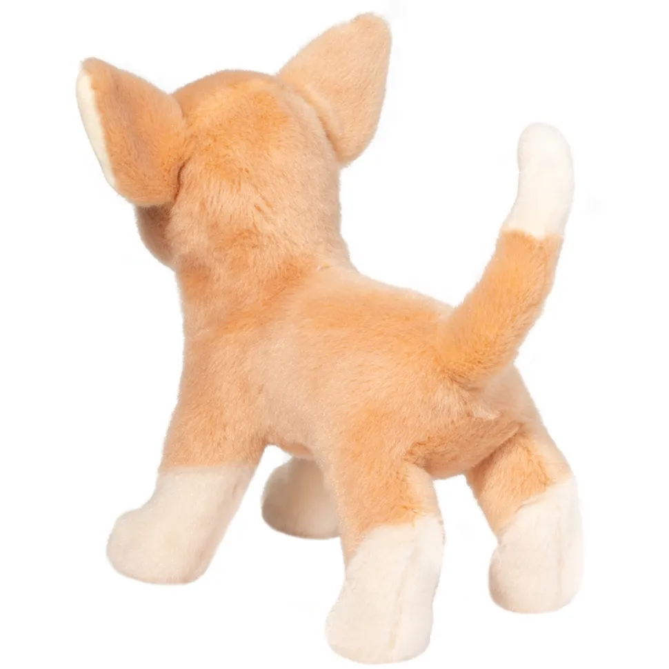 Chichi Chihuahua
