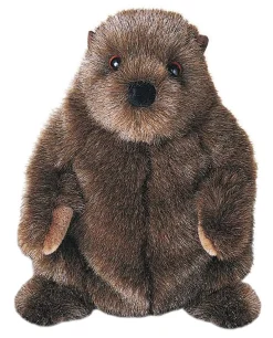 Chuckwood Groundhog