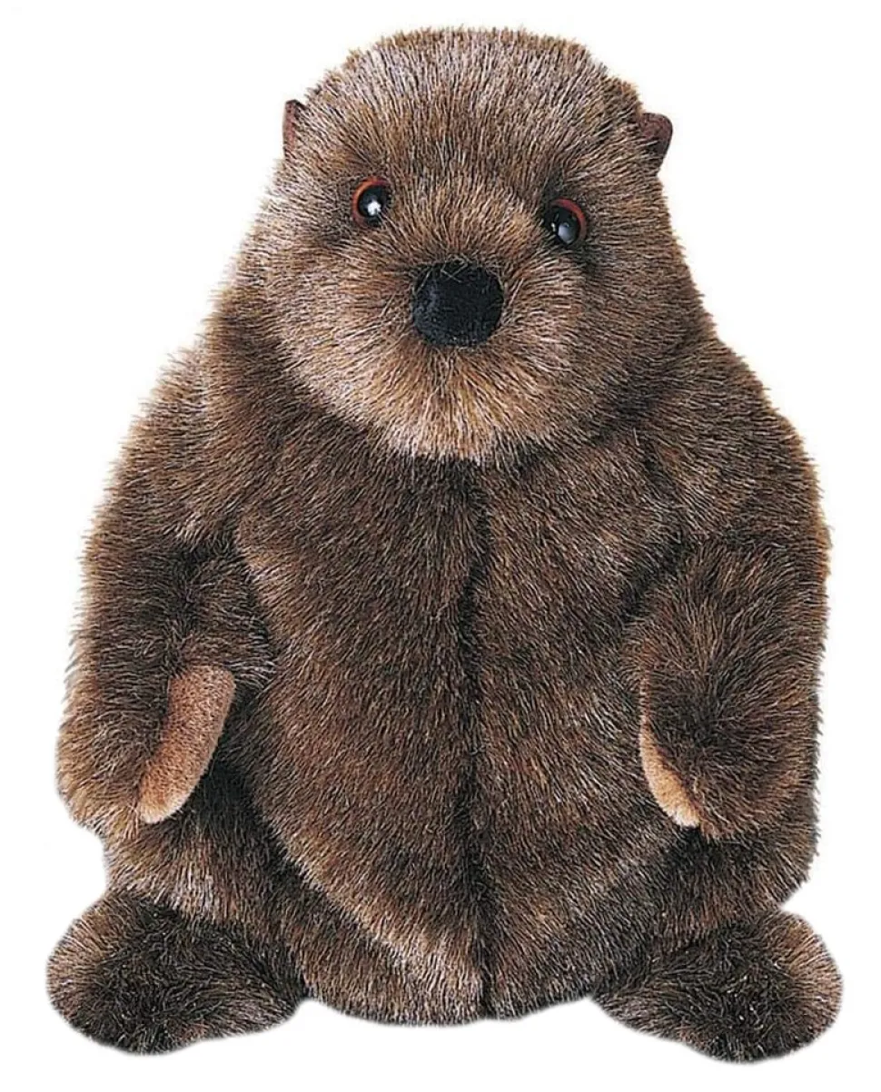 Chuckwood Groundhog
