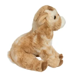 Dandie Soft Goat