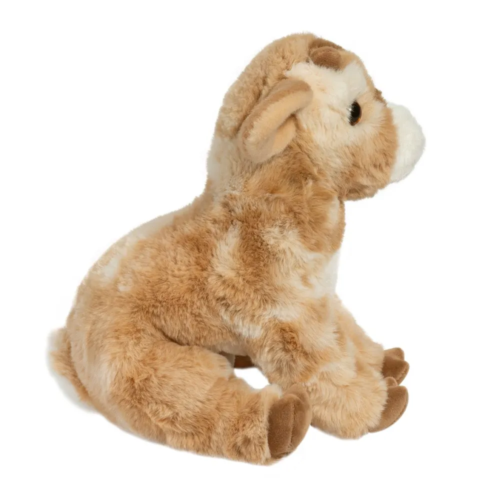 Dandie Soft Goat