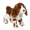 Flair Springer Spaniel