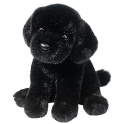 Ford Black Lab