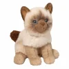 Fu Siamese Cat
