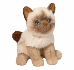 Fu Siamese Cat