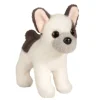 Gilman French Bulldog