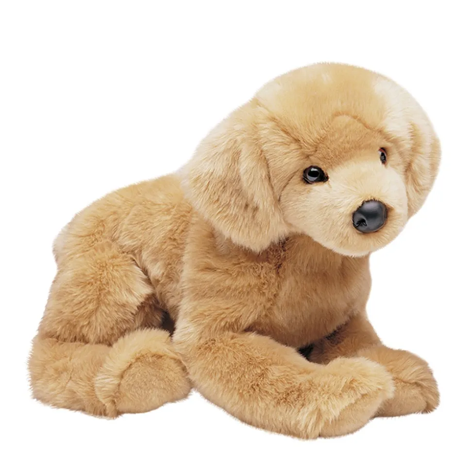 Honey Golden Retriever