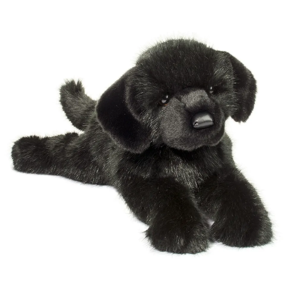 Jake DLux Black Lab