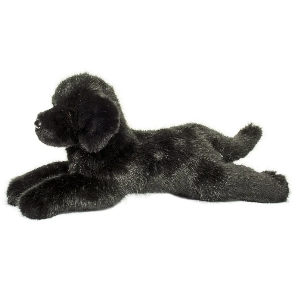 Jake DLux Black Lab