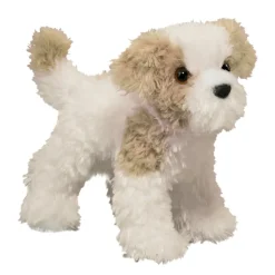 Jolly Maltipoo