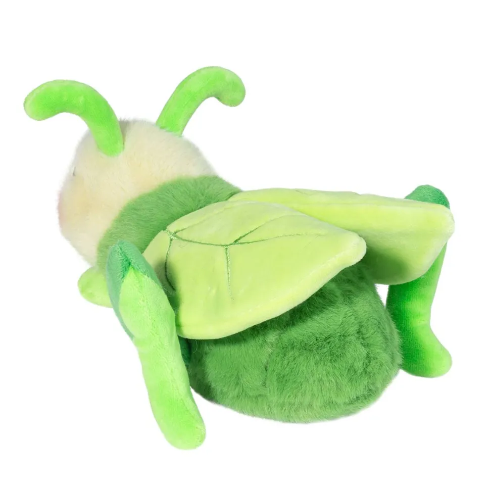 Kady Grasshopper