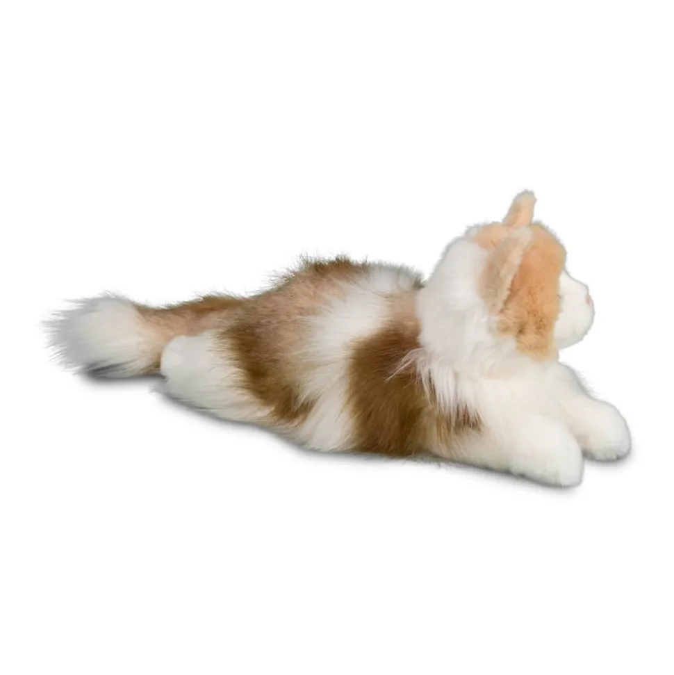 Kiki Ragdoll Cat
