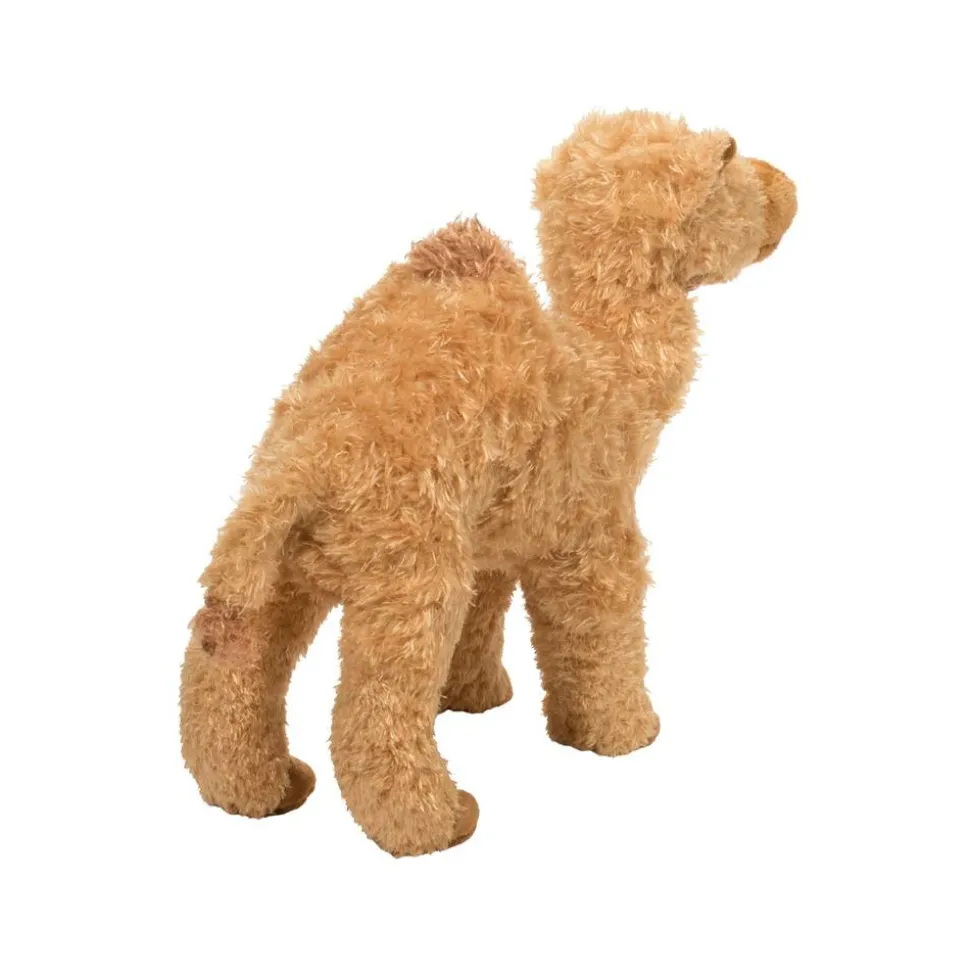 Lawrence Camel