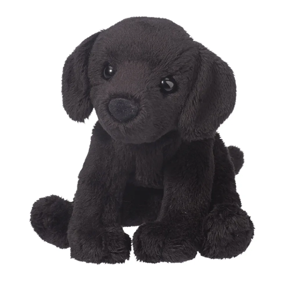 Lucy Black Lab