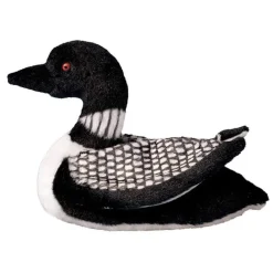 Ludwig Loon