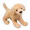 Mandy Yellow Lab