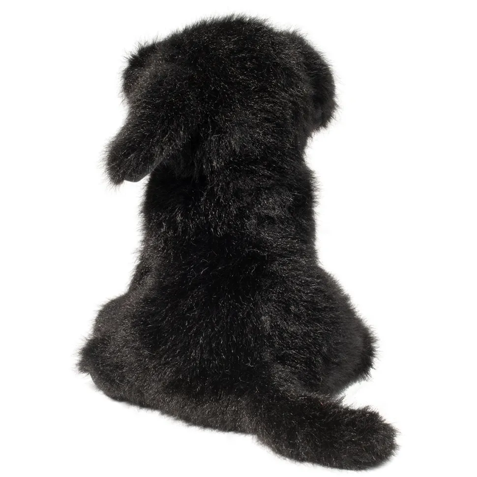 Mini Black Lab