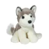 North Husky