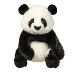 Paya Panda