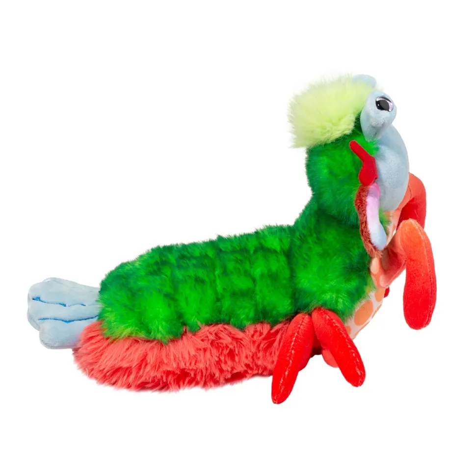 Punchie Peacock Mantis Shrimp