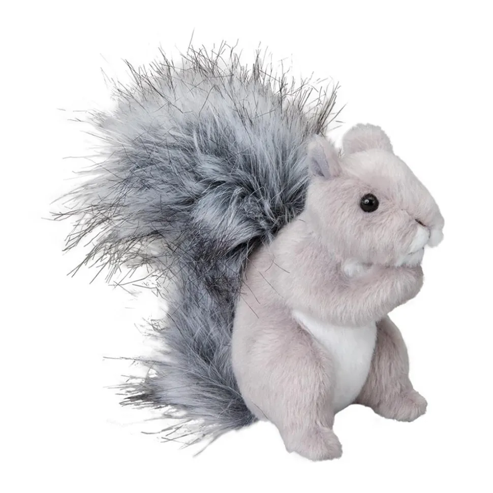 Shasta Gray Squirrel