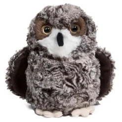 Shrill Saw-Whet Owl