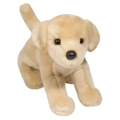 Spankie Yellow Lab