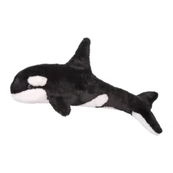 Spout Orca Whale