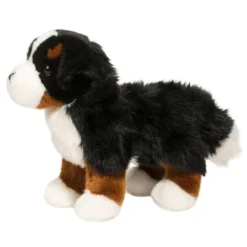 Stevie Bernese Mountain Dog