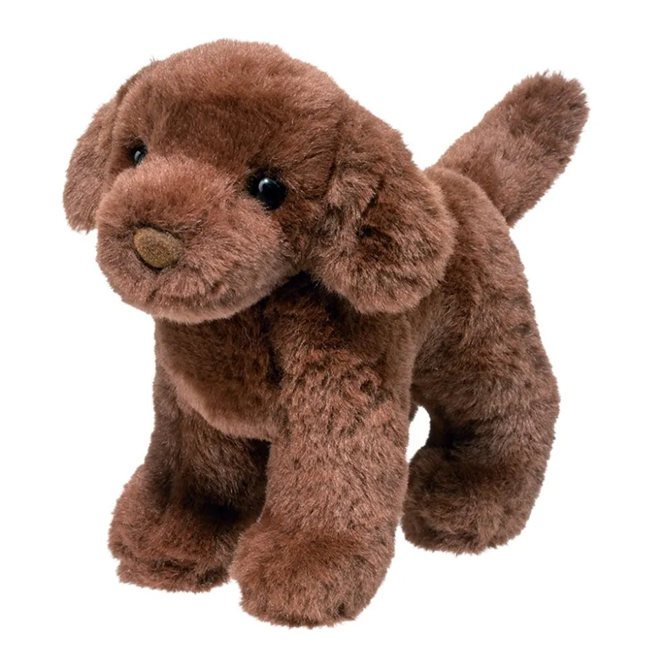 Sylvia Chocolate Lab