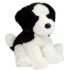 Teefer Shih Tzu