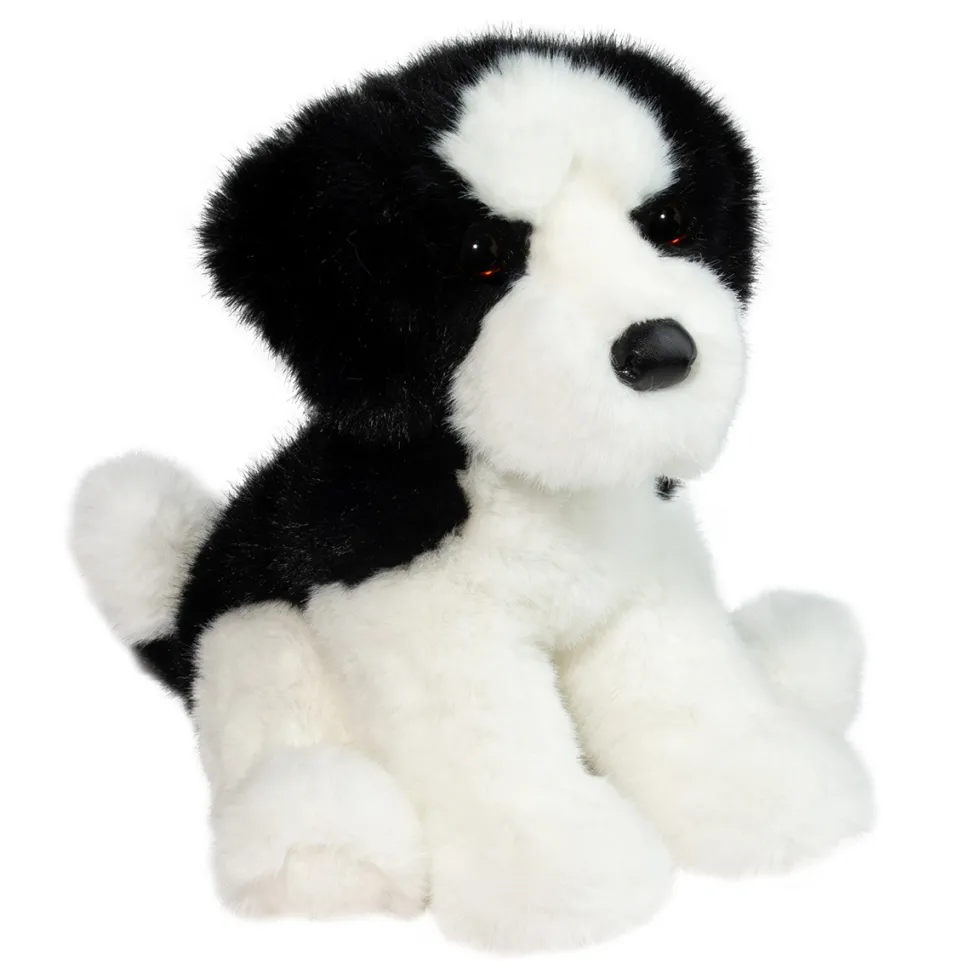 Teefer Shih Tzu