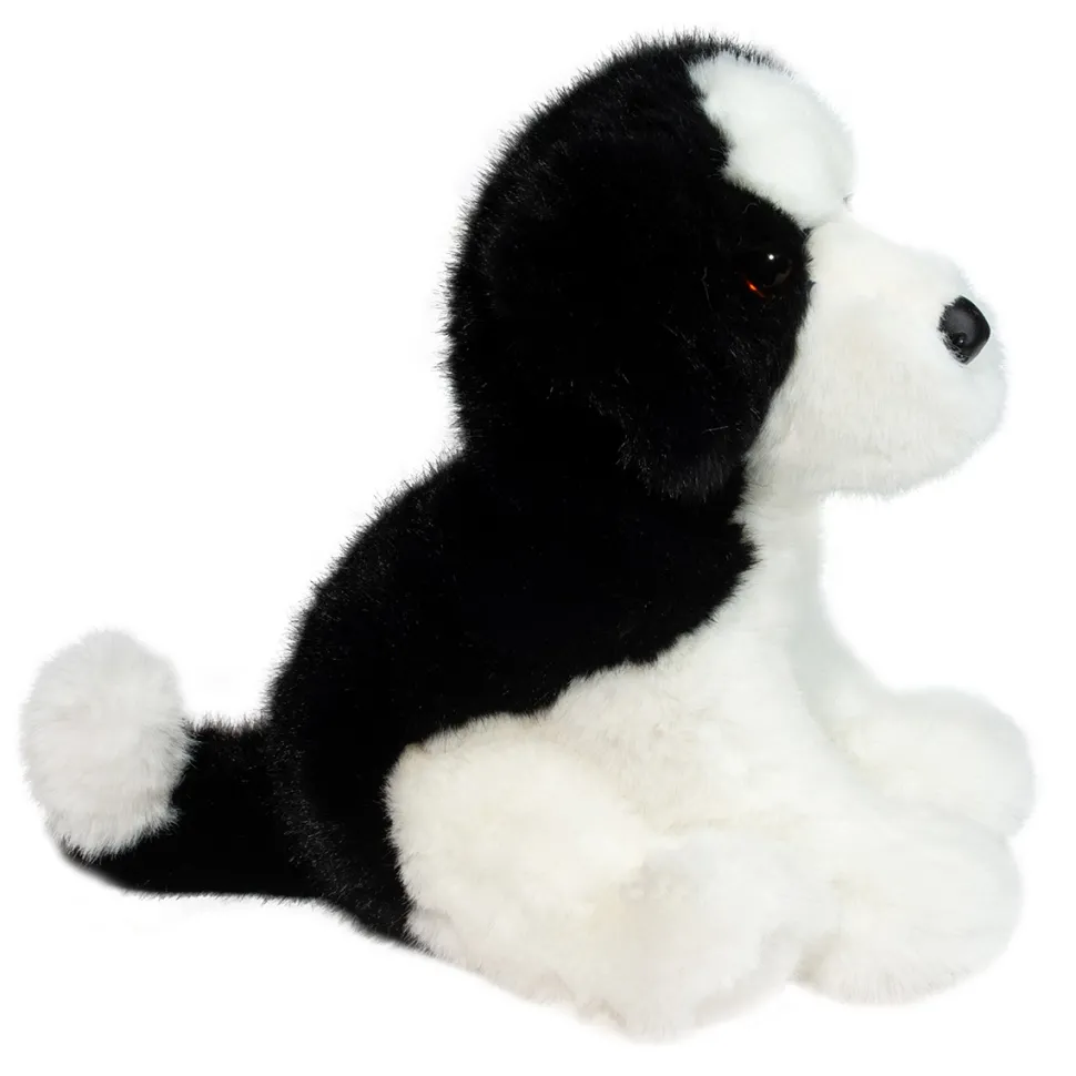 Teefer Shih Tzu
