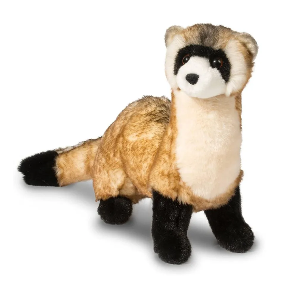 Vince Black Footed Ferret