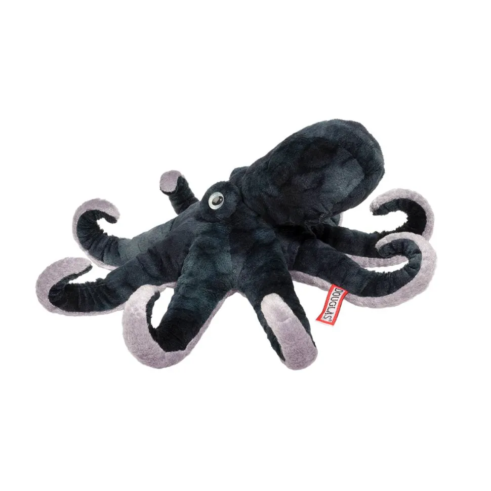 Winky Octopus
