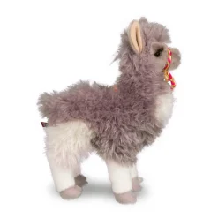 Zephyr Llama