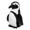 Zuri African Penguin