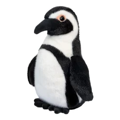 Zuri African Penguin
